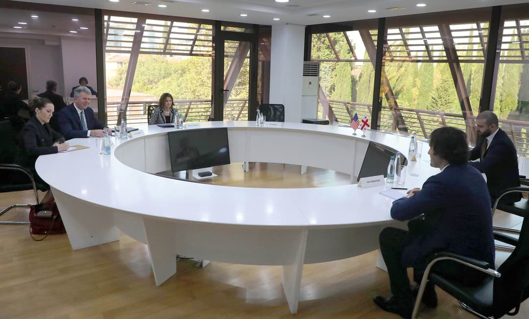 ირაკლი კობახიძე აშშ-ის ელჩს შეხვდა