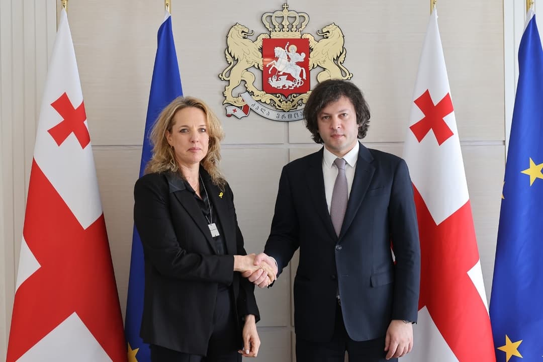 ირაკლი კობახიძე საქართველოში ისრაელის ელჩს შეხვდა