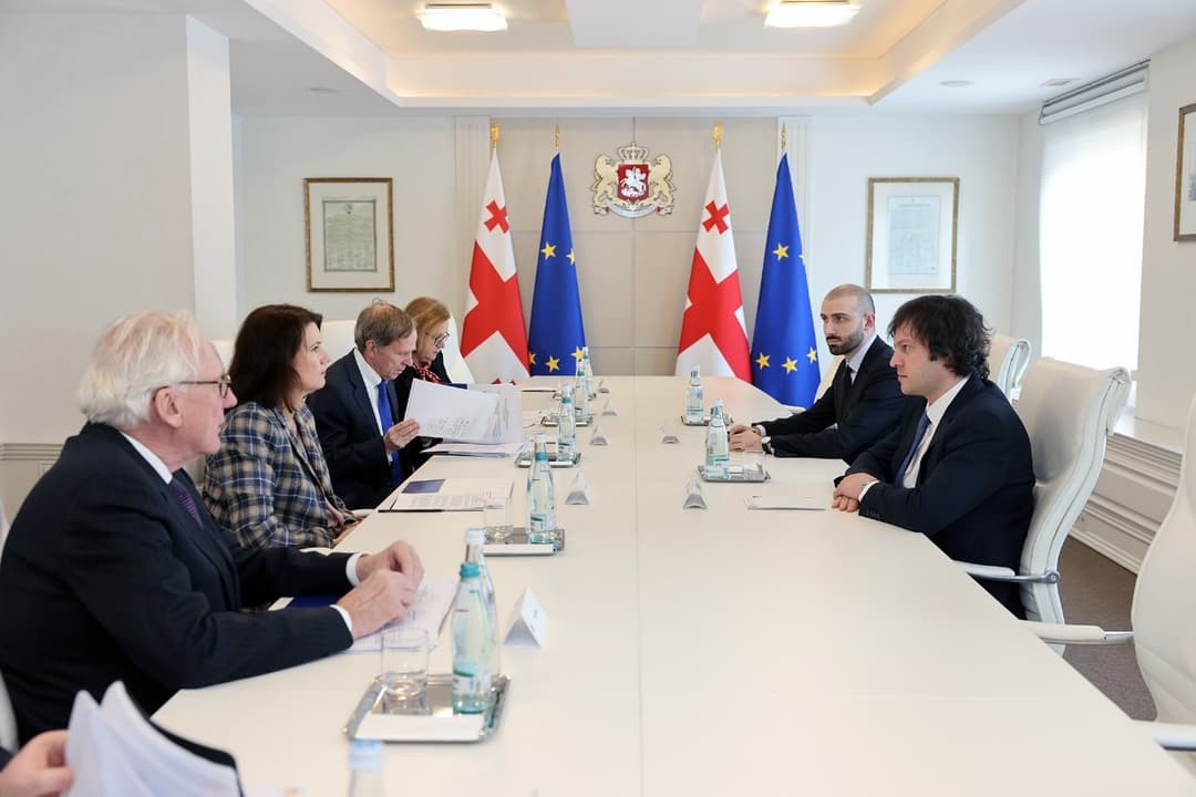 ირაკლი კობახიძე NDI-ის წინასაარჩევნო საერთაშორისო სადამკვირვებლო მისიის წარმომადგენლებს შეხვდა