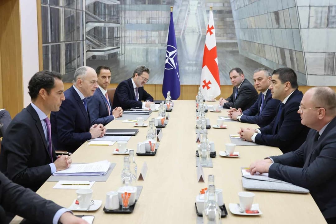 პარლამენტის თავმჯდომარე ნატოს გენერალური მდივნის მოადგილეს შეხვდა