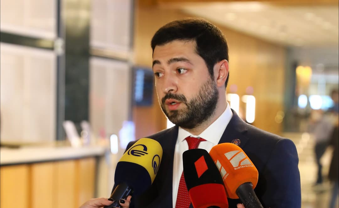 US never sanctioned anyone from previous gov’t – Georgia’s ruling party MP