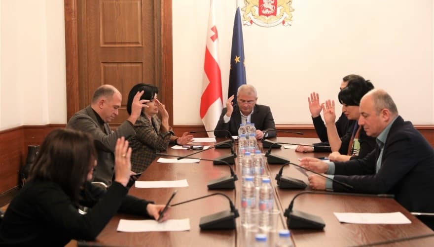 დეპუტატ ნონა მამულაშვილს პარლამენტის წევრის სტატუსი პირადი განცხადების საფუძველზე შეუწყდება