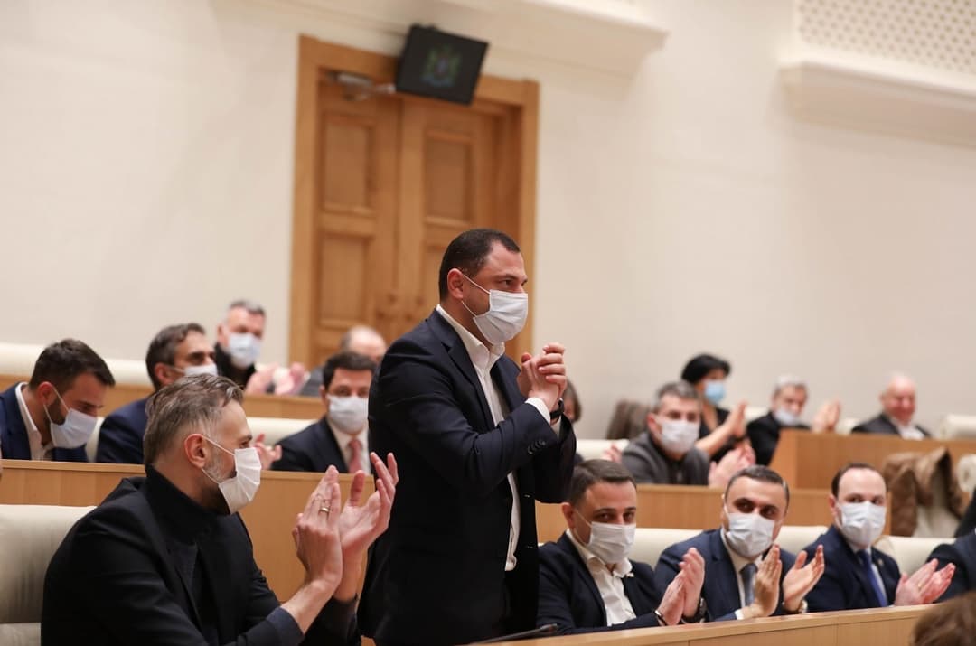 პარლამენტის განათლებისა და მეცნიერების კომიტეტს გიორგი ამილახვარი უხელმძღვანელებს