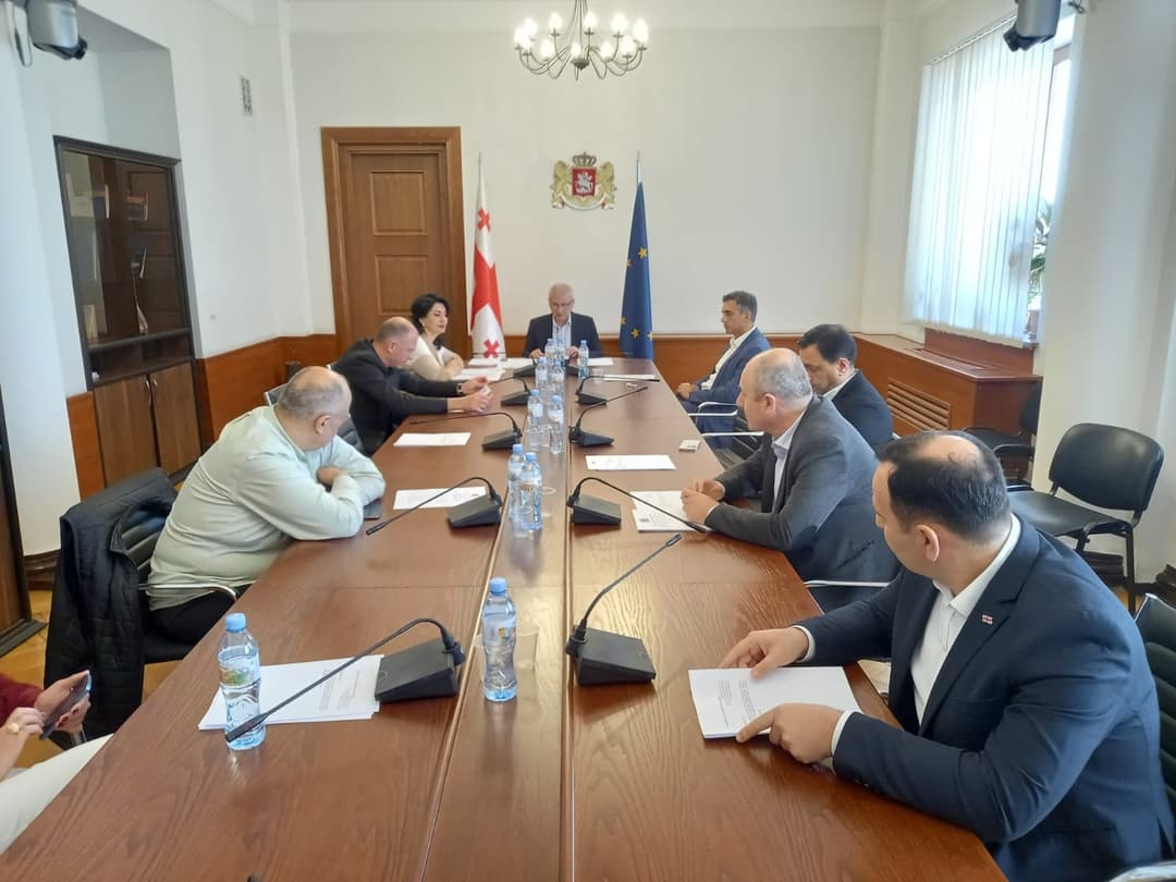 კომიტეტმა გიორგი ხახუბიას და სალომე ჯინჯოლავას პარლამენტის წევრის უფლებამოსილების ცნობას მხარი დაუჭირა