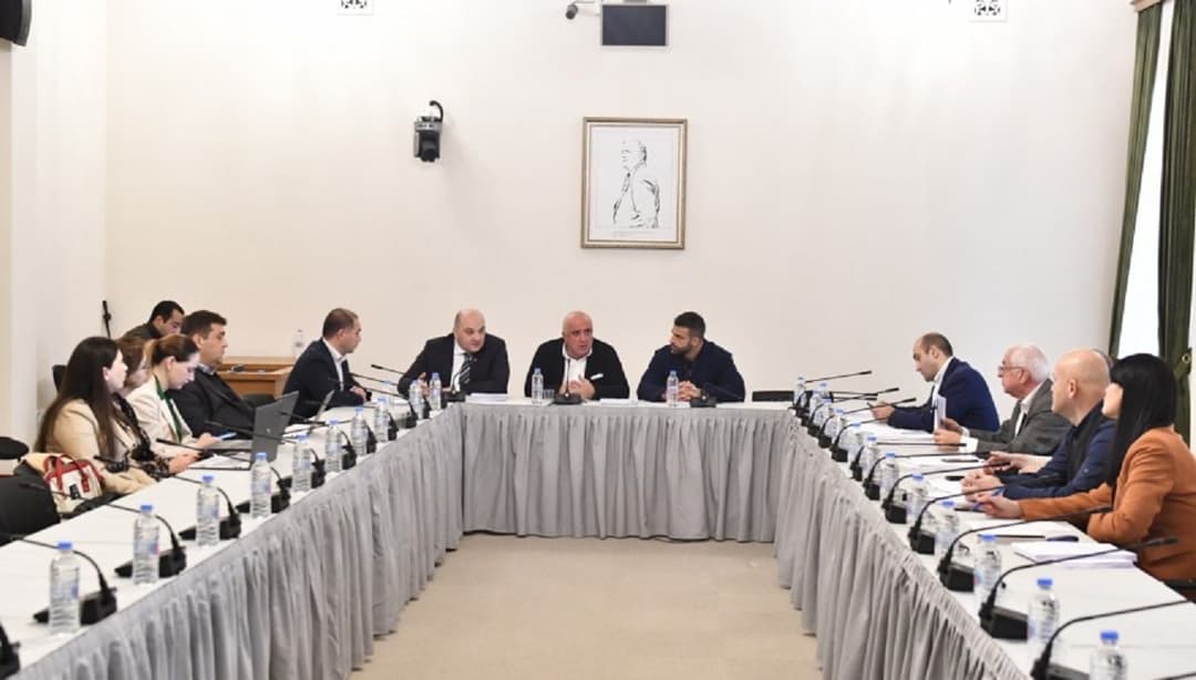 სპორტული ცეცხლსასროლი იარაღის შეძენასთან დაკავშირებული ნებართვის სახეები იცვლება