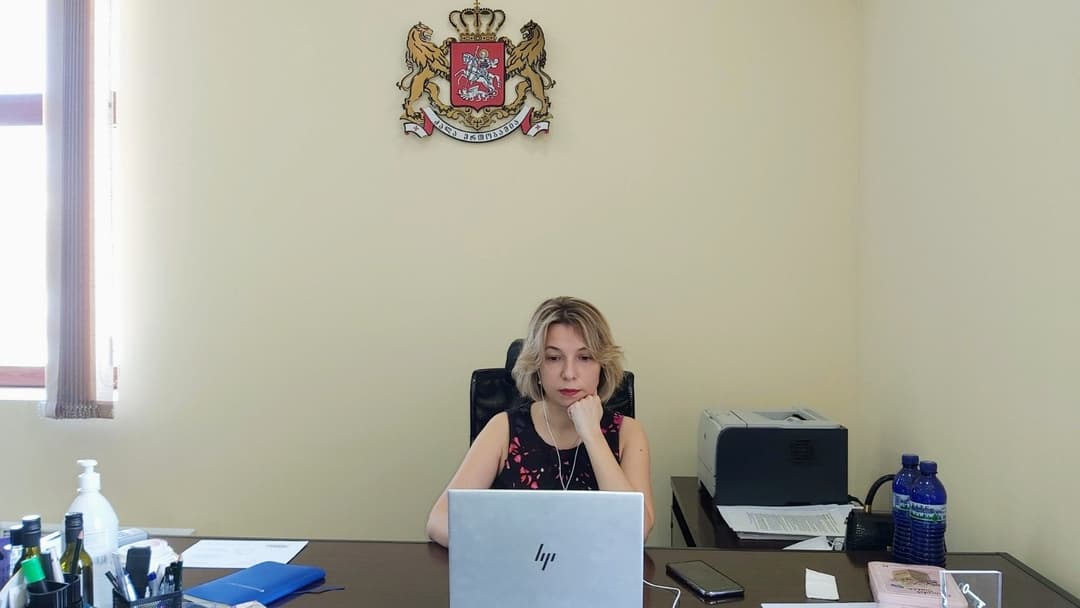 ნინო ლომჯარია – მოვუწოდებ პოლიტიკური თანამდებობის პირებს, არ დაუშვან ჟურნალისტური საქმიანობის ხელშეშლა და ჟურნალისტებზე ძალადობა