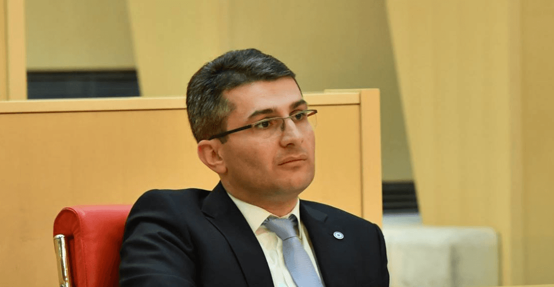 GD MP Mdinaradze says the opposition ‘misinterprets’ history textbook on August war, Ivanishvili