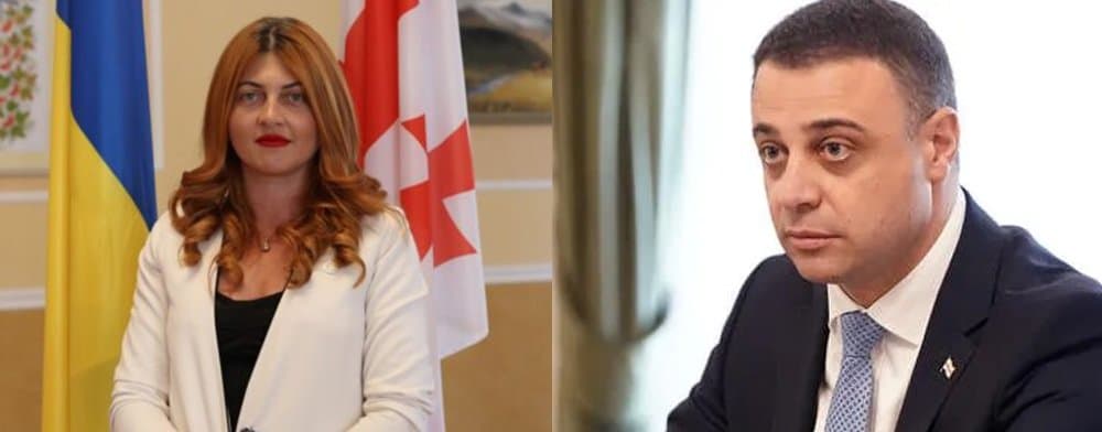 მარიკა არევაძე – ცალკე მინდა გამოვყო მტრული გარემო და პარლამენტარისთვის შეუფერებელი მეტყველების სტანდარტი, რაც დეპუტატ ალუდა ღუდუშაურის მიერ დასმული კითხვების ტონში და პათოსში იგრძნობოდა