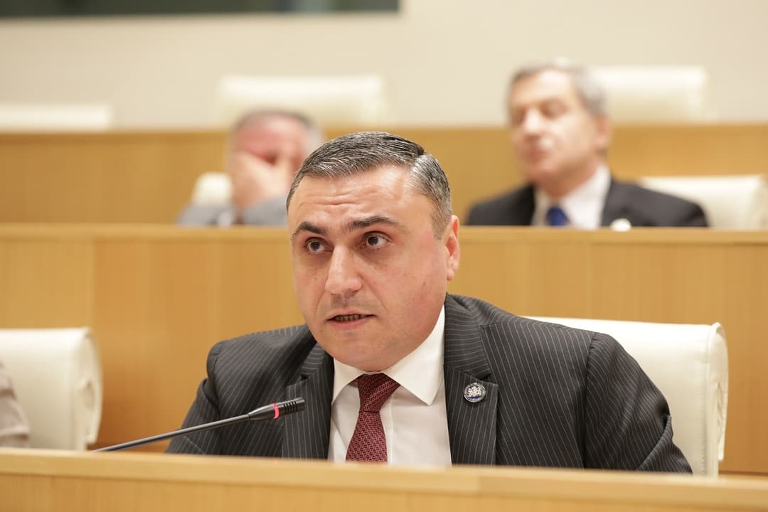 დავით მათიკაშვილი – როდესაც ჯარიმას გადაუხდი დამრღვევ დამნაშავე პირს, ეს არის მისთვის წახალისება, რომ შემდგომშიც ასე გააგრძელოს მოქცევა