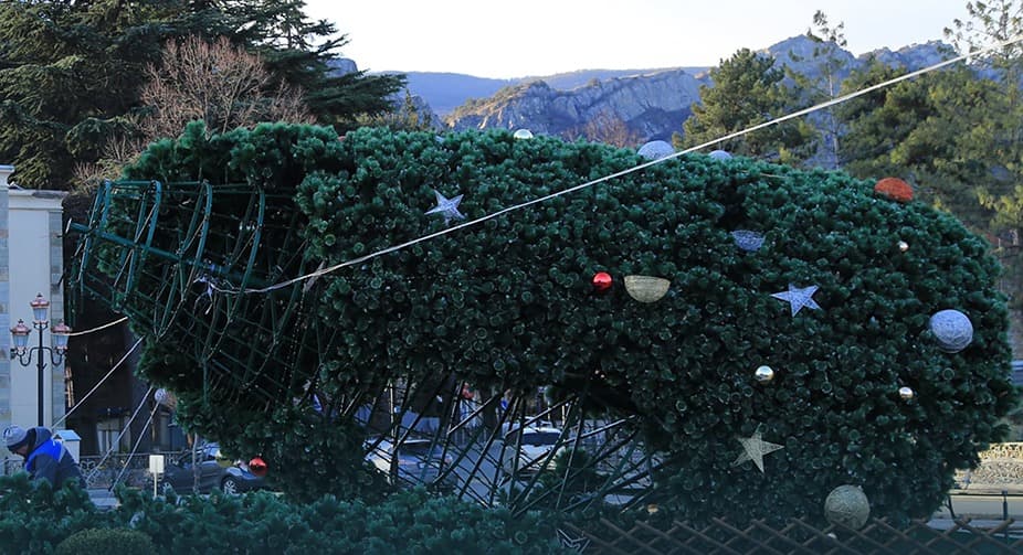 ძლიერმა ქარმა მცხეთაში ნაძვის ხე წააქცია