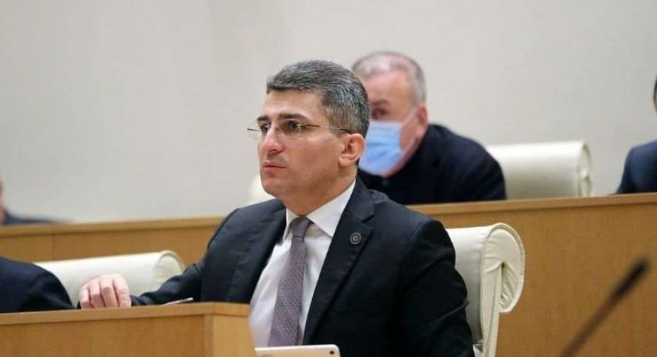 მამუკა მდინარაძე – ელენე ხოშტარიას ფაქტორი ამ გადაწყვეტილებაში დომინანტური იყო