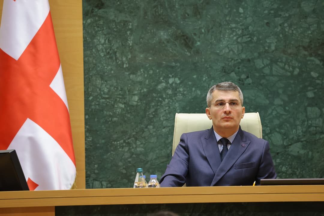 მამუკა მდინარაძე – არანაირი რეიტინგი იმაზე არ მეტყველებს, რომ ნაცების “კონსტრუქციულობა” და ამათი ლეღვის ფოთლობა შედეგს მოიტანს