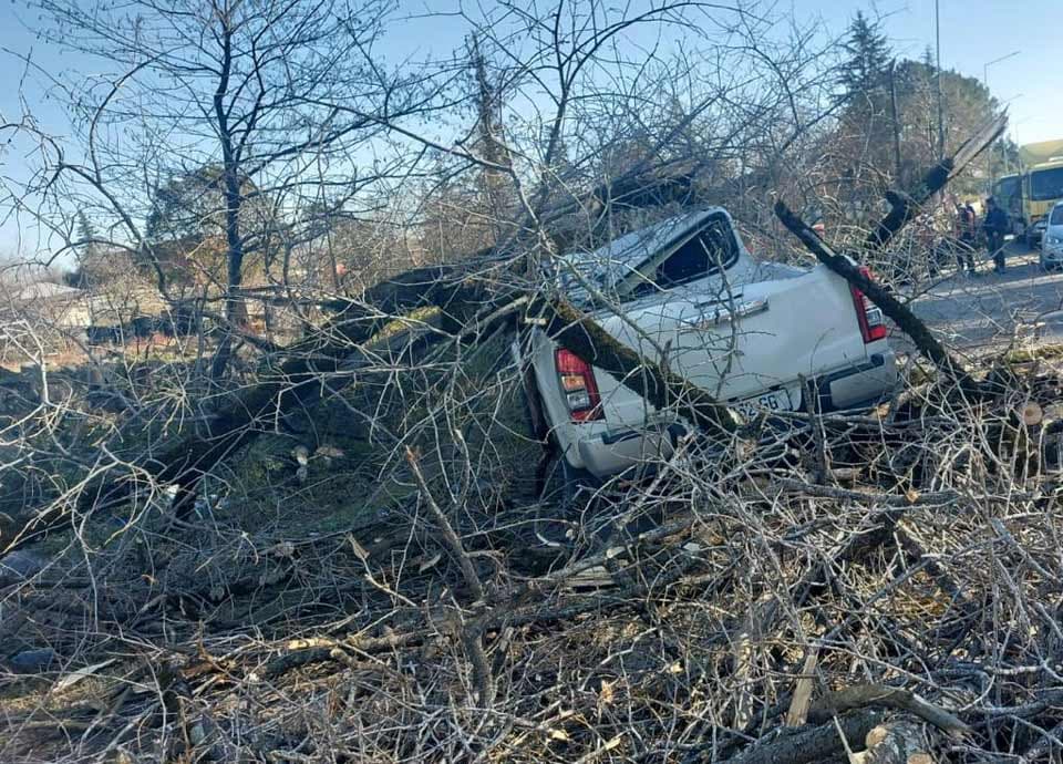 ფოთში ძლიერი ქარის შედეგად დაზიანებულია ინფრასტრუქტურა, ავტომანქანები, მოგლეჯილია ხეები და ელექტროგადამცემი ბოძები