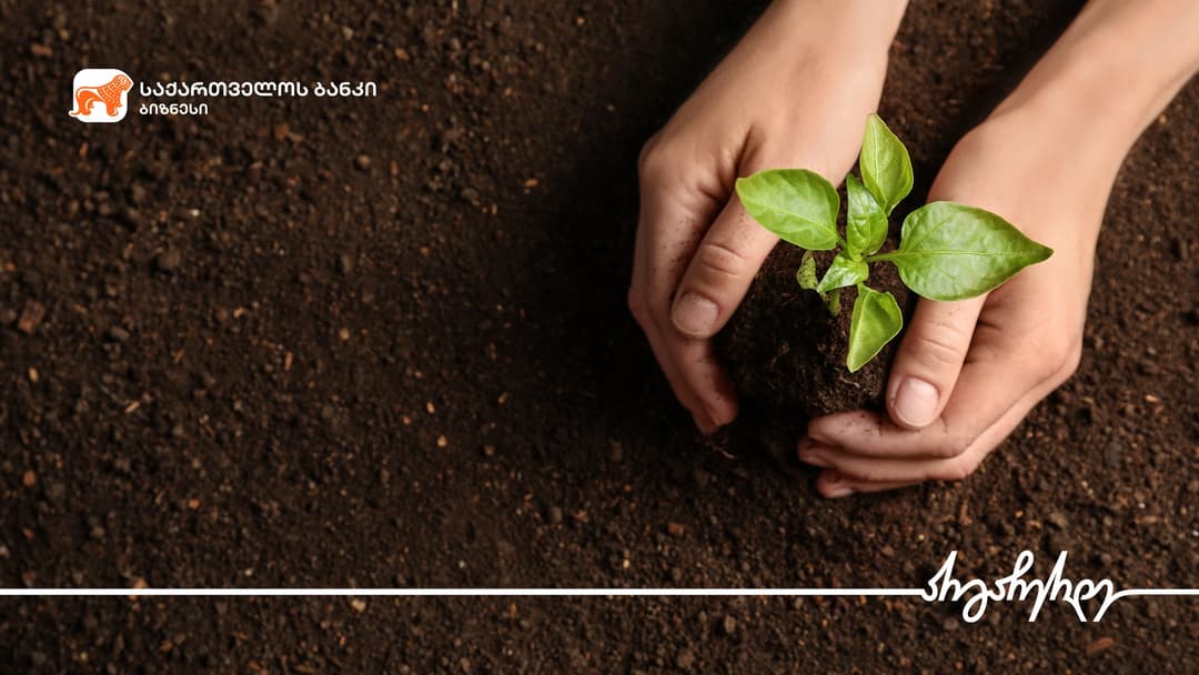 “საქართველოს ბანკის” მხარდაჭერით ჩოხატაურში სანერგე მეურნეობა გაფართოვდა