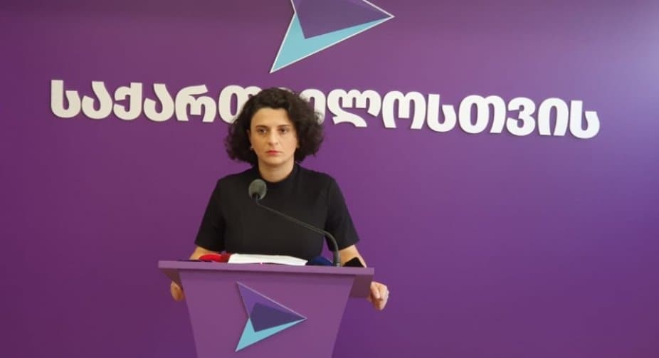 ნათია მეზვრიშვილი – ცესკო, პროკურატურა და სასამართლო ორგანიზებულად ცდილობენ გადამწყვეტი მტკიცებულებების განადგურებას