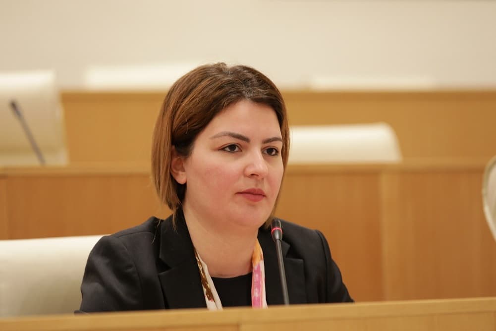 ანა ნაცვლიშვილი – თავსებადი არ არის თან გინდოდეს ევროპა და თან რუსეთთან პირდაპირი მიმოსვლა და რუსეთის ორბიტაზე დაბრუნება