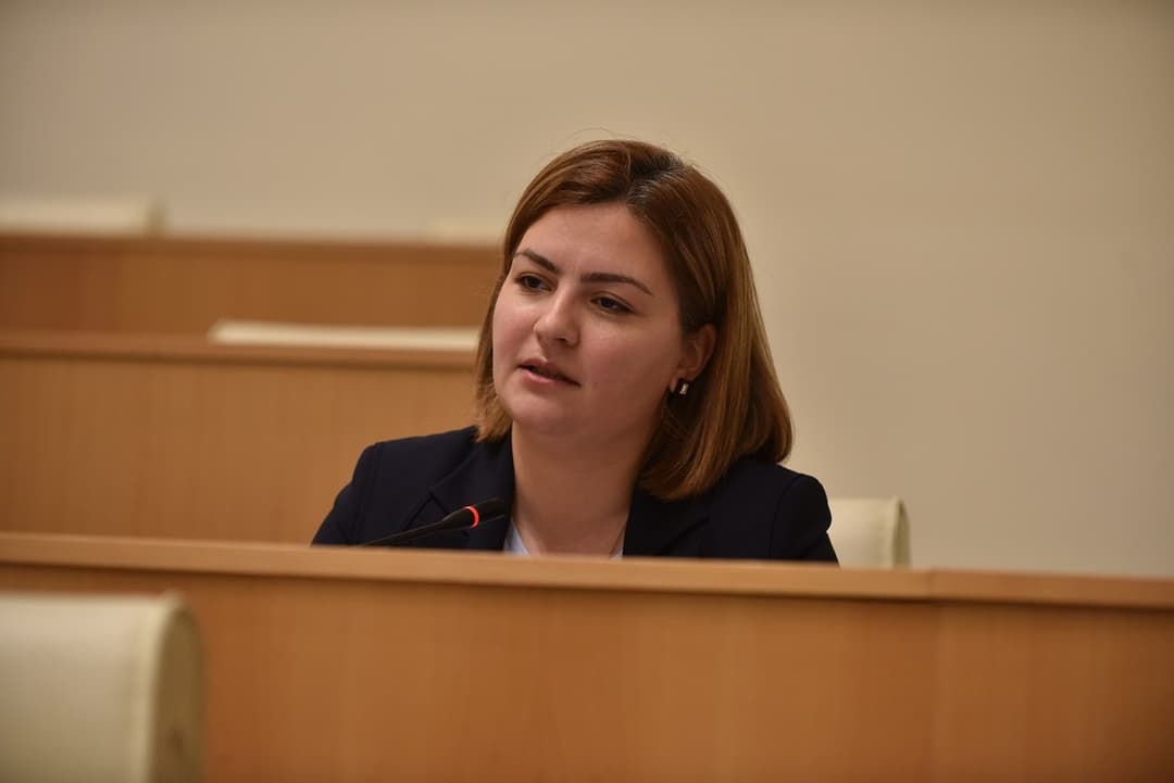 ანა ნაცვლიშვილი – პრეზიდენტის იმპიჩმენტის დაწყება არის კანდიდატის სტატუსის საბოტაჟი თქვენი მხრიდან