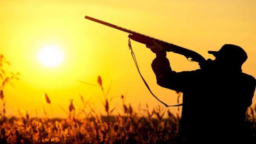 დღეიდან გადამფრენ ფრინველებზე ნადირობის სეზონი გაიხსნა