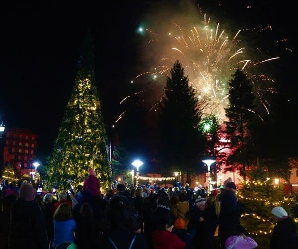 ონის მთავარი ნაძვის ხე საზეიმოდ აინთო