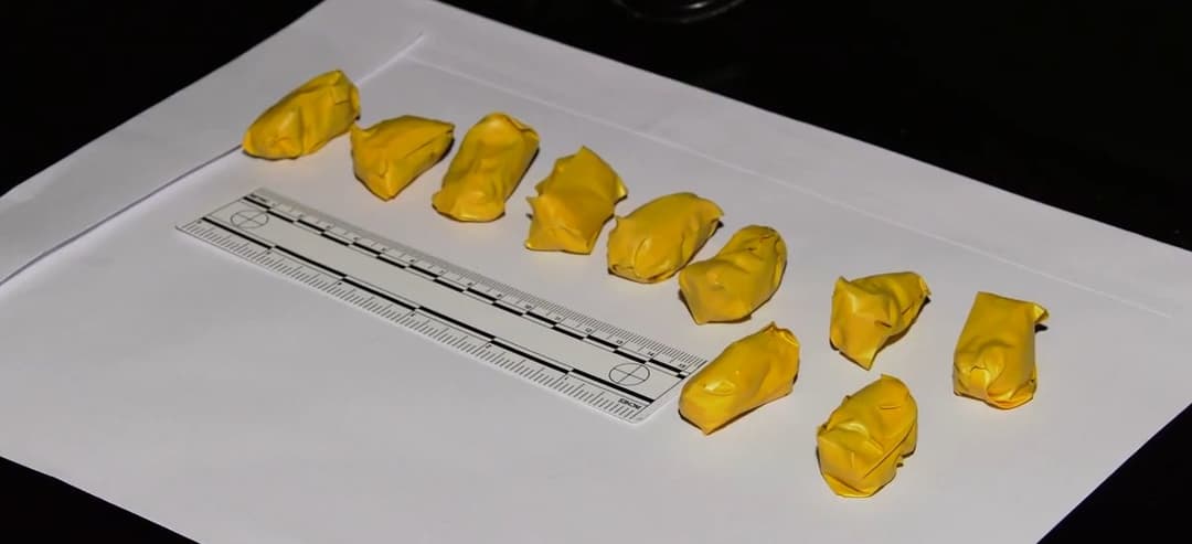 14 arrested, including 7 alleged drug dealers, in Tbilisi, regions drug crime raid