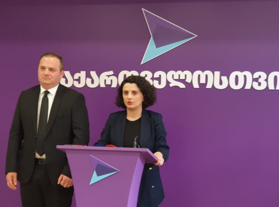 ნათია მეზვრიშვილი – ძალოვანი უწყებები პარტიის გავლენის ქვეშ იმყოფებიან და ამაზე პასუხისმგებლობა მთლიანად “ოცნებას” ეკისრება