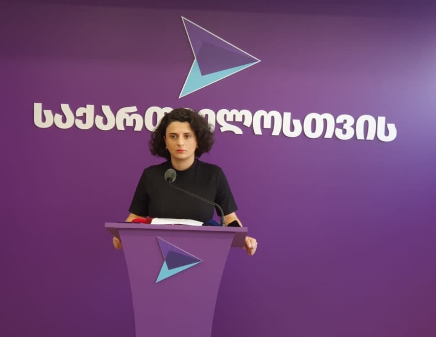 ნათია მეზვრიშვილი პროკურატურას – გამოიძიეთ ჩვენი წევრების და მხარდამჭერების წინააღმდეგ ჩადენილი დანაშაულის სისტემური ხასიათი