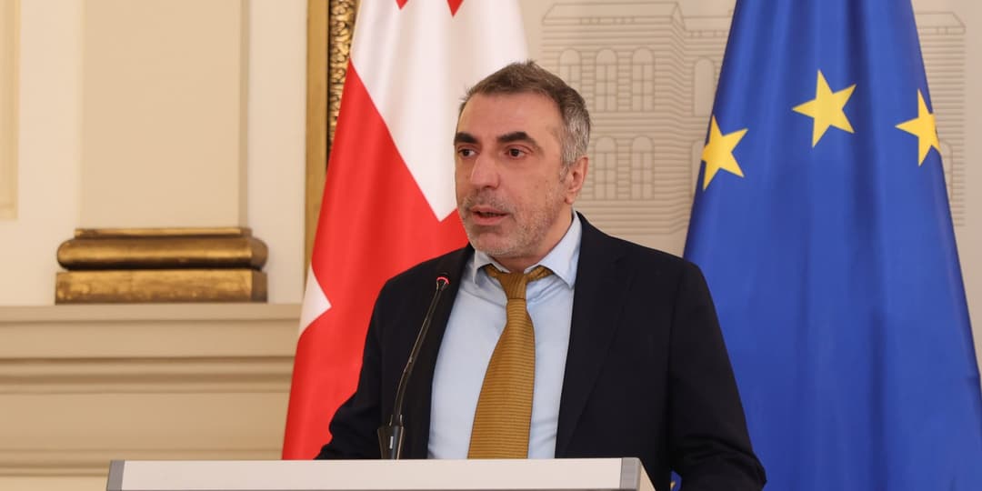 კონსტანტინე ნაცვლიშვილი – ნებისმიერი ფაქტი, რომელიც პრეზიდენტს უკავშირდება და წარმოადგენს ან თავდასხმას, ან თავდასხმის მცდელობას, არის პოლიტიკური