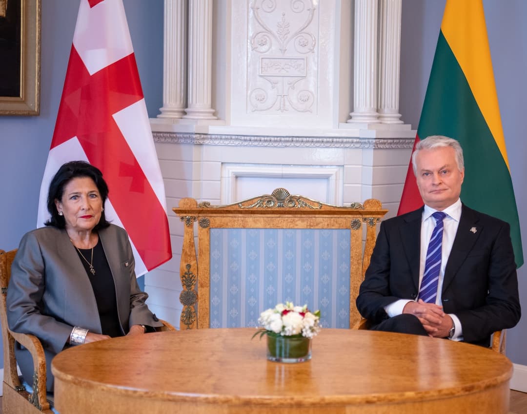 სალომე ზურაბიშვილი ლიეტუვის პრეზიდენტს შეხვდა