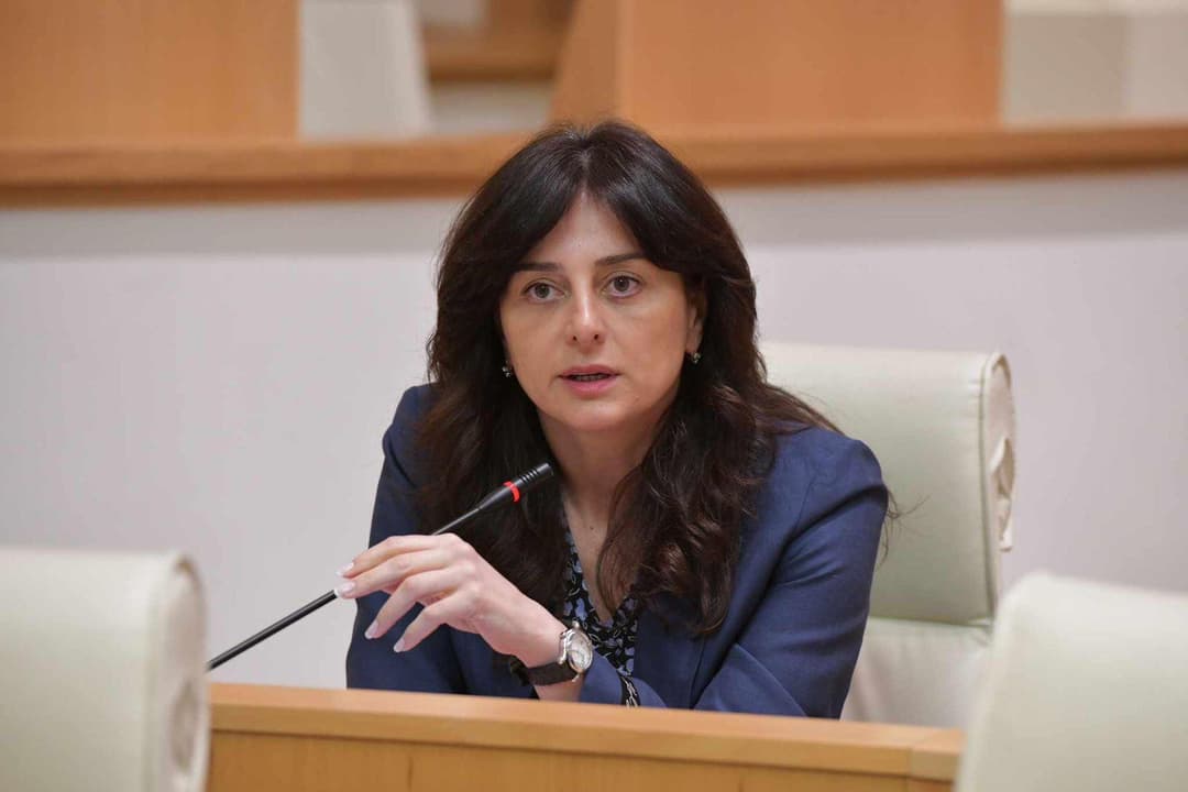 მაია ბითაძე – მგონი დროა, პროცესებში რეალურად მიიღოთ მონაწილეობა, ან საერთოდ უარი თქვათ პარლამენტზე