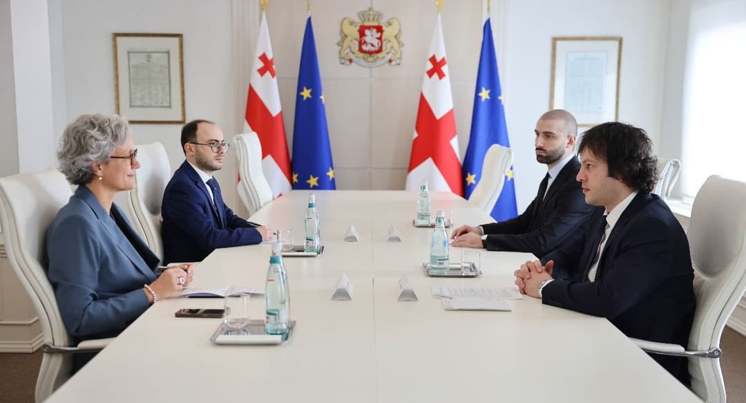 ირაკლი კობახიძე ნორვეგიის სამეფოს საგანგებო და სრულუფლებიან ელჩს შეხვდა