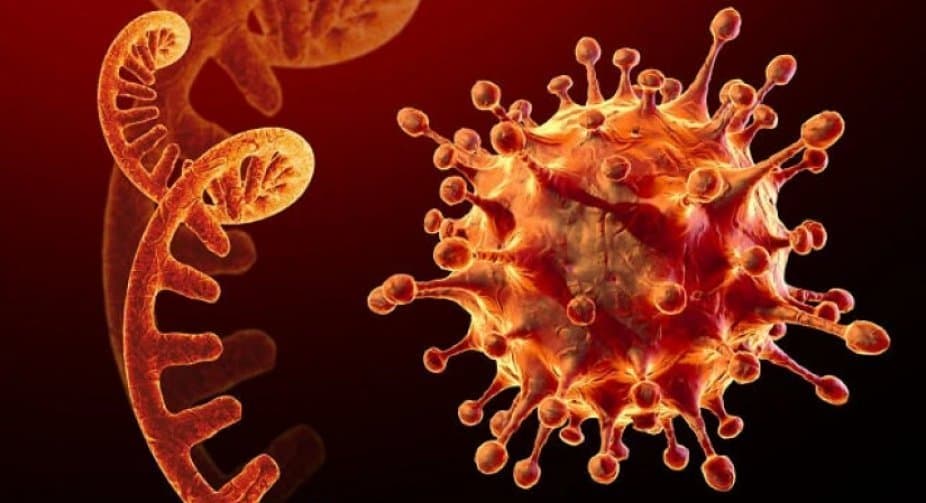 Georgia confirms Omicron strain of coronavirus