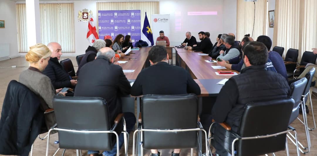 ონის მუნიციპალიტეტის მერი ჩეხეთის რესპუბლიკის კარიტასის წარმომადგენლებს შეხვდა