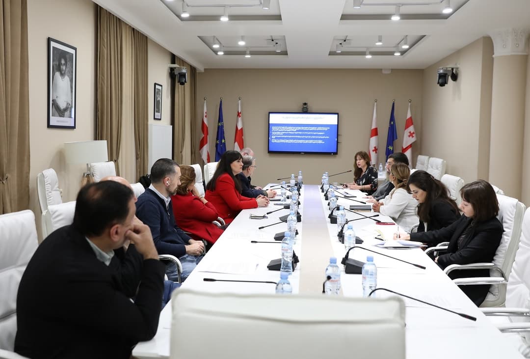 Opposition meets TI Georgia to address parliamentary oversight over domestic security