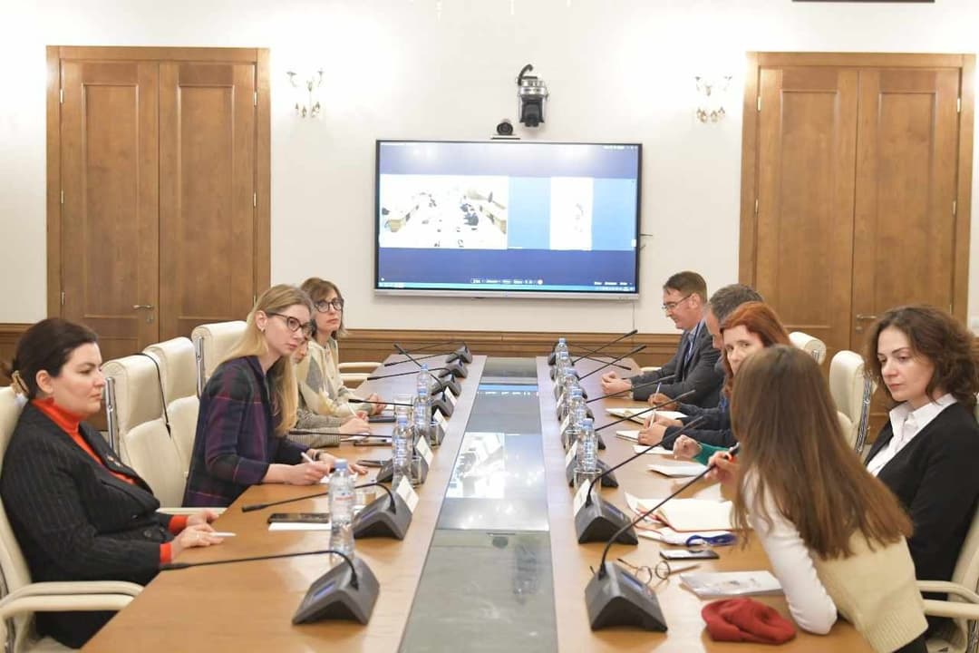 პარლამენტის წევრები ეროვნულ-დემოკრატიული ინსტიტუტის საპარლამენტო პროგრამების შემფასებლებს შეხვდნენ