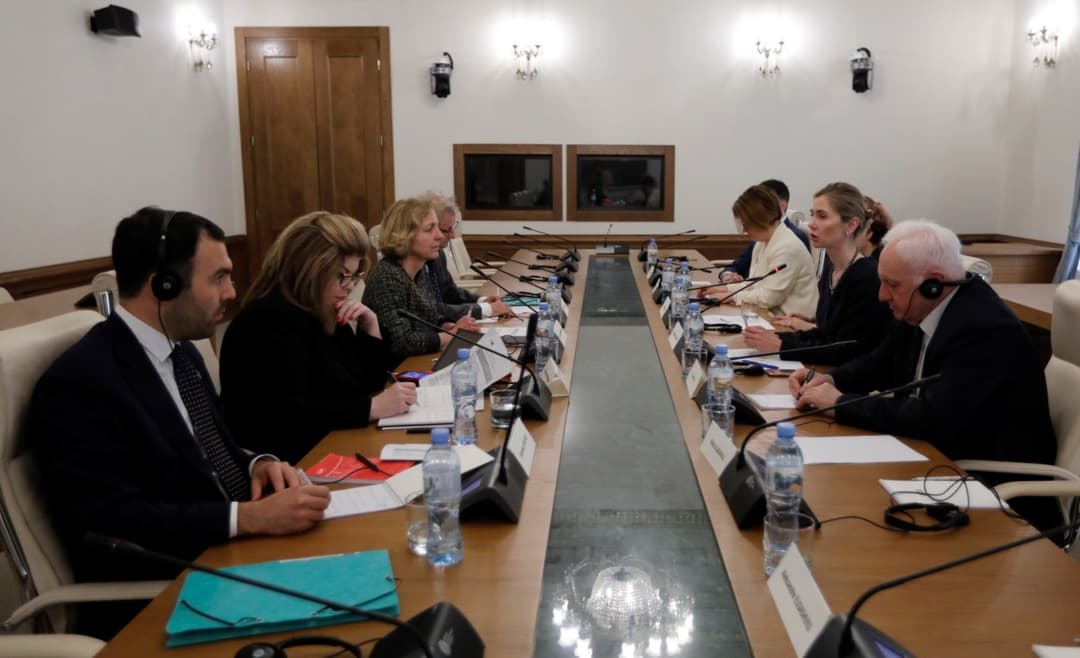 ოპოზიციონერი დეპუტატები ვენეციის კომისიის წარმომადგენლებს შეხვდნენ