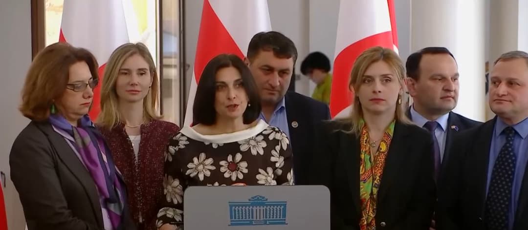 თამარ კორძაია – ხელისუფლება პოლიტიკურ შურისძიებაზე გადავიდა, მკაცრად მოვითხოვთ, დასჯილი იყოს ყველა პოლიციელი