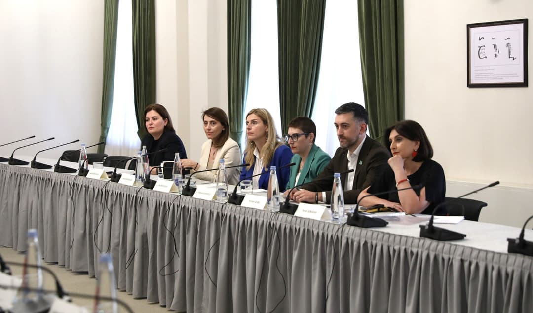 ხატია დეკანოიძე – შეხვედრაზე ჩვენი პარტნიორების მხრიდან საკმაოდ მძიმე შეფასებები მოვისმინეთ