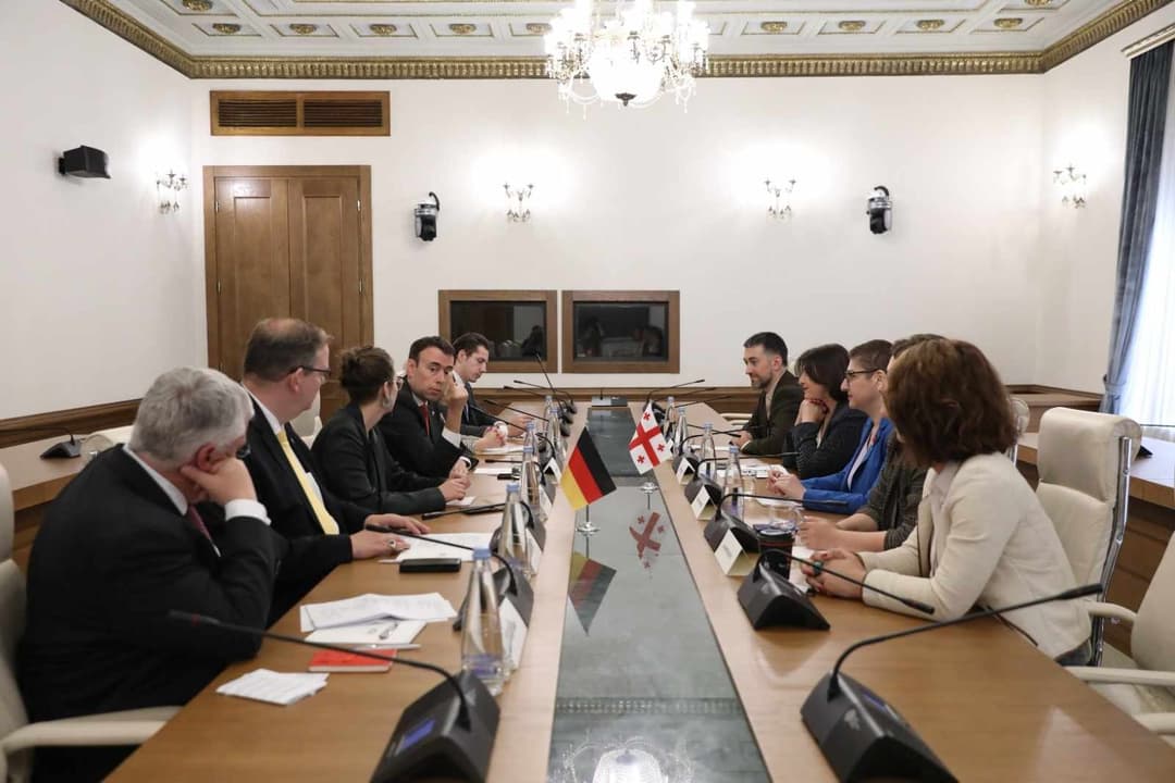 Georgian opposition members discuss EU prospects with German Bundestag delegation