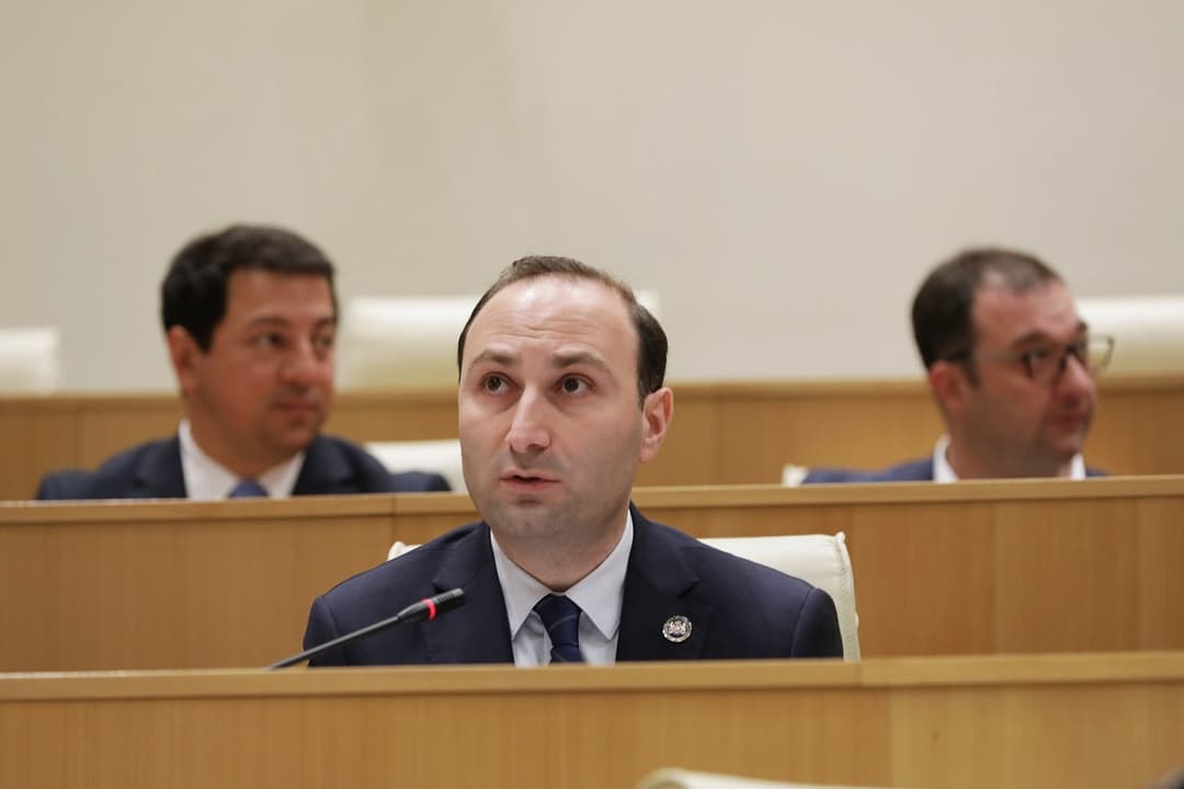 ანრი ოხანაშვილი – დამისახელეთ სად არის მითითებული, რომ ცდები უნდა ვატაროთ ჩვენს კანონმდებლობაზე