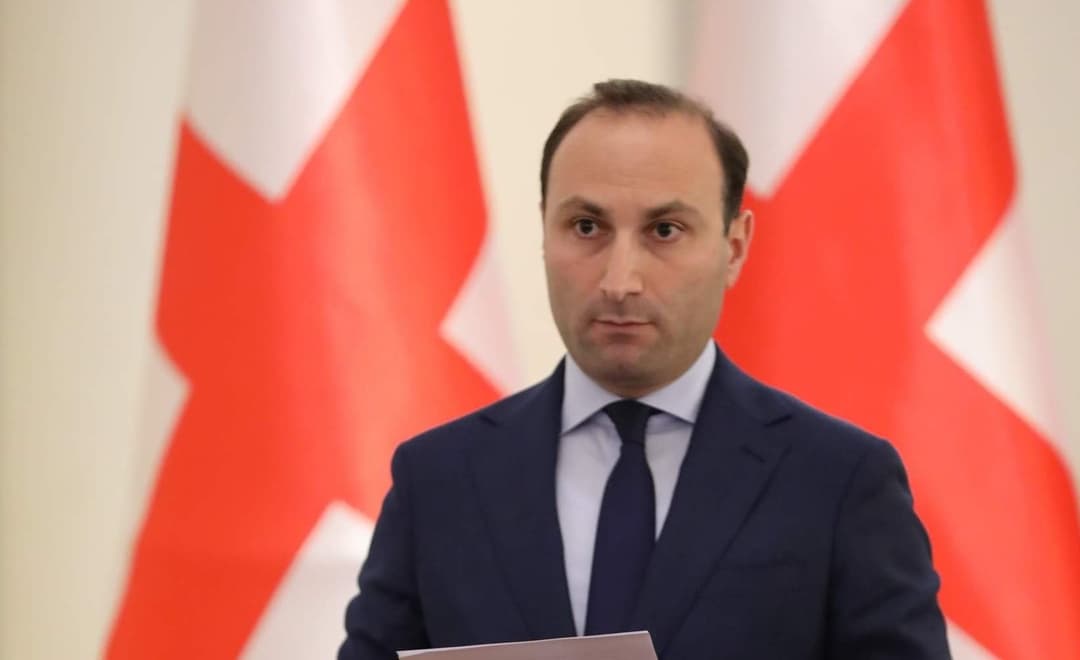 ანრი ოხანაშვილი – ვენეციის კომისიის დასკვნაში ერთი უცნაური რეკომენდაციაც არის