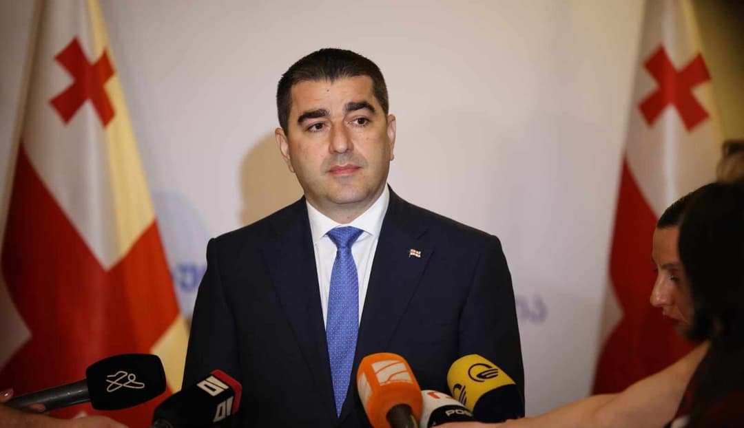 Georgian parliament speaker raises concerns over EU funds transparency