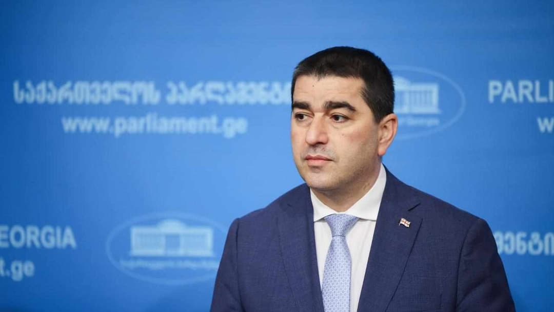 შალვა პაპუაშვილი – თუკი ვინმეს წუხილი აქვს, რომ ამან შეიძლება ნეგატიური გავლენა მოახდინოს, ვერ დავეთანხმები