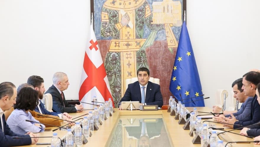 პარლამენტში ამნისტიის პროექტის განხილვა მომდევნო კვირაში დაიწყება