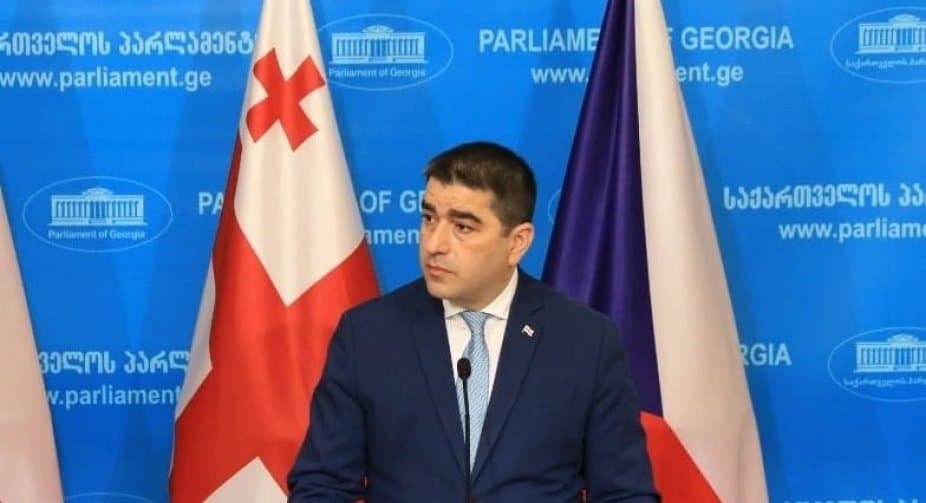 შალვა პაპუაშვილი – სააკაშვილი თავად აყენებს ზიანს საკუთარ ჯანმრთელობას