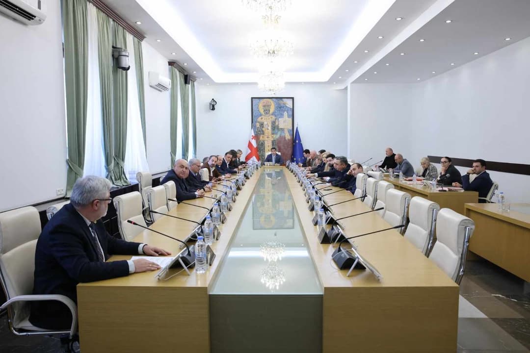 პარლამენტი “მინისტრის საათის” ფორმატში ლევან დავითაშვილს მოუსმენს