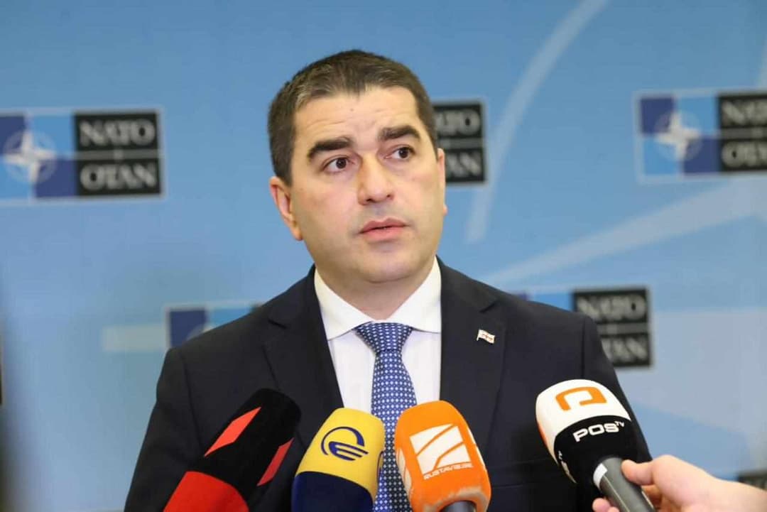 Parliament Speaker to attend NATO-Georgia Commission to discuss country’s integration