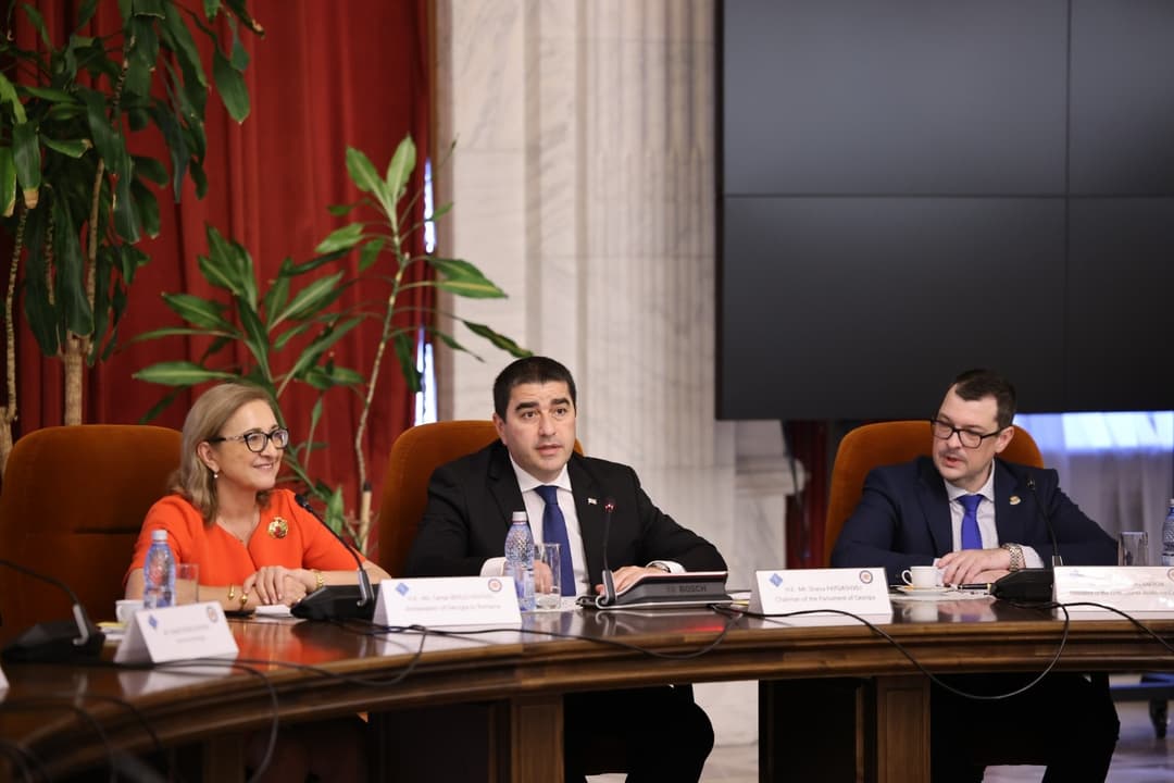 Tbilisi “careful” when it comes to direct military aid to Ukraine – Papuashvili