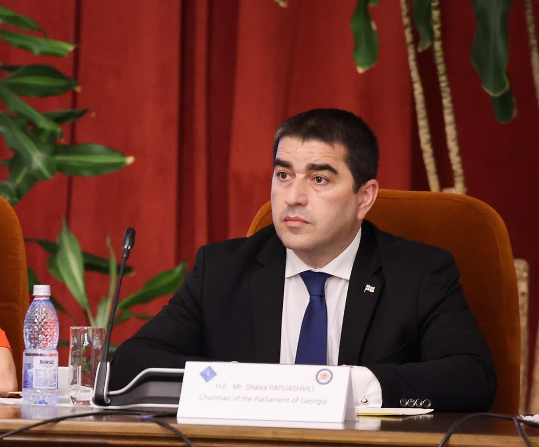 შალვა პაპუაშვილი სამუშაო ვიზიტით ირლანდიაში იმყოფება