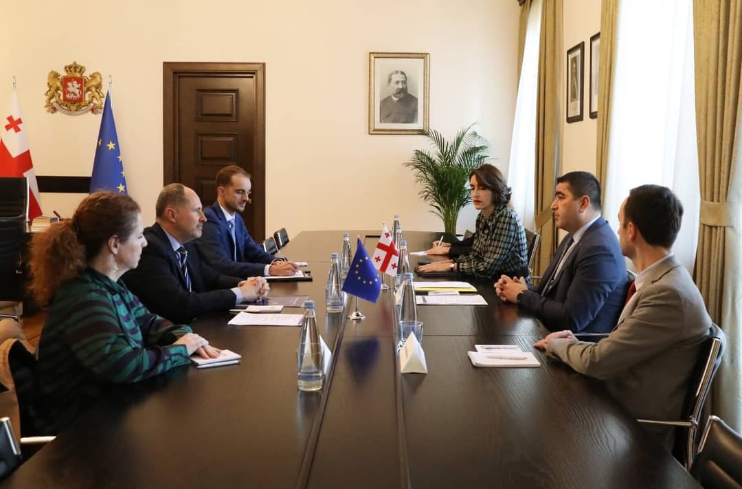 შალვა პაპუაშვილი საქართველოში ევროკავშირის ელჩს შეხვდა