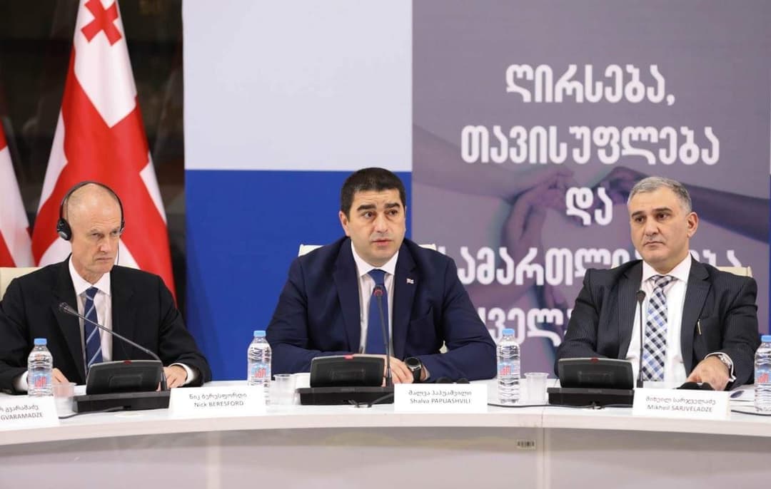 შალვა პაპუაშვილი – როცა ვსაუბრობთ ადამიანის უფლებებზე, ვსაუბრობთ სახელმწიფოს პასუხისმგებლობაზე, რომ ეს უფლებები იყოს უზრუნველყოფილი და დაცული